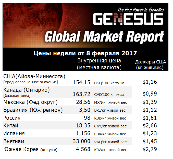 Обзор российского рынка свиней - февраль 2022