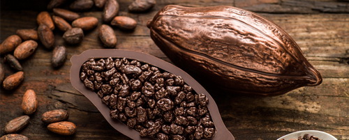 Отмена пошлин на какао-сырье даст отрасли дополнительный доход
