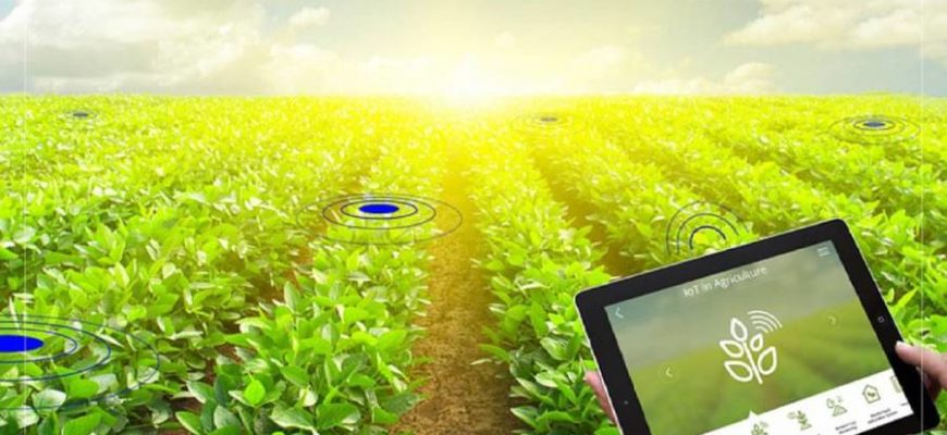 ЕБРР и ФАО следят за применением «климатических технологий» в агросекторе