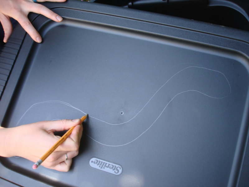 как создать ферму по разведению червей