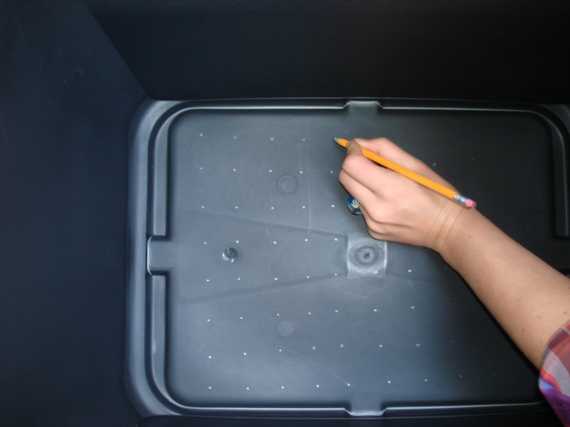 как создать ферму по разведению червей