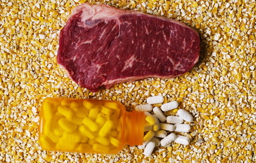 Действующие нормы по содержанию антибиотиков в мясе нужно пересмотреть