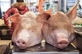 Обновление рынка свинины США