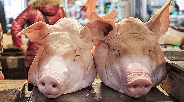 Обновление рынка свинины США