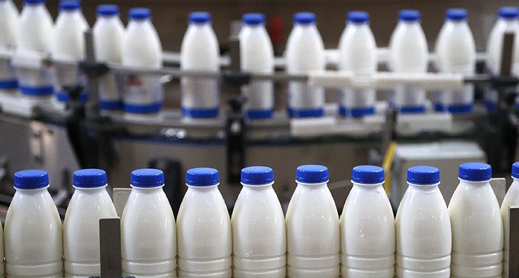 Прогнозы по рынку молока