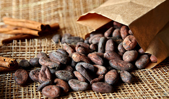 Россия более чем в четыре раза увеличила закупки какао-бобов