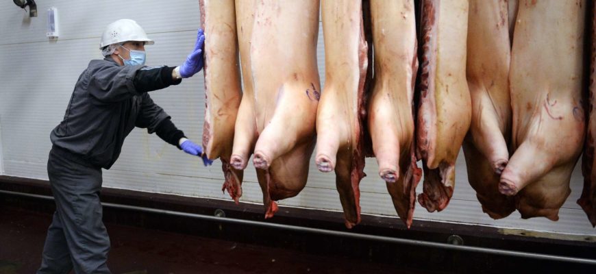 Россия планирует импортировать свинину из Китая