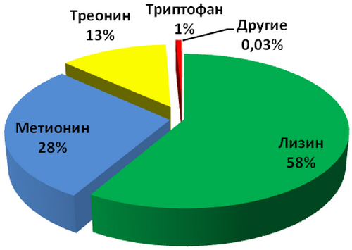 Тенденции российского рынка аминокислот