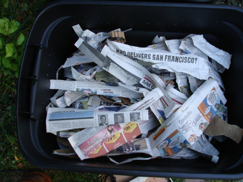 как создать ферму по разведению червей