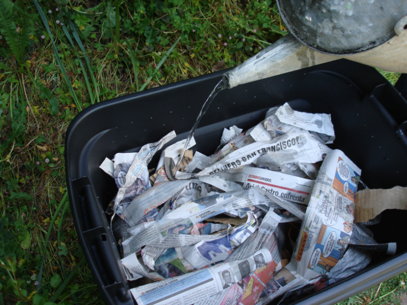 как создать ферму по разведению червей