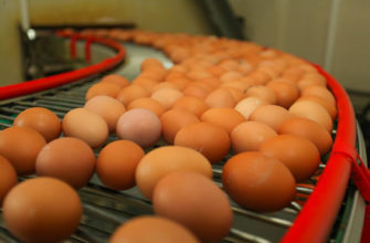 Потребление яиц в странах Европы