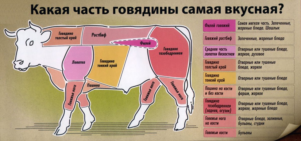 Схема разделки говяжьей туши с описанием и названием частей